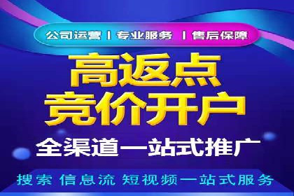 社交平台信息流广告推广的典型案例分析